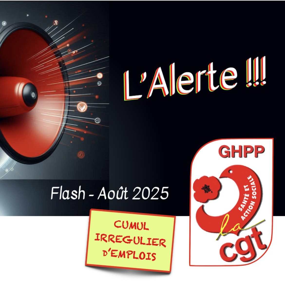 L'Alerte - Flash - Août 2025 - Cumul irrégulier d'emploi